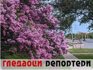 Гледаоци репортери (3. јун 2022)