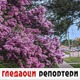 Гледаоци репортери (3. јун 2022)