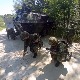 Одржана здружена тактичка вежба "Штит 05"