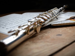 Флаутисткиња Рејчел Браун