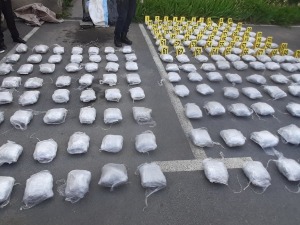 У Призрену заплењена 93 килограма марихуане