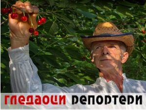 Гледаоци репортери (7. јун 2022)