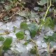 Градоносни облаци погодили Ариље и Трстеник