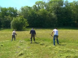 Златиборци позвали косаче на мобу, да мало одмене машине