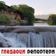 Гледаоци репортери (8. јун 2022)