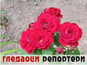 Гледаоци репортери (9. јун 2022)