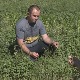 Висока стопа незапослености нагнала Србе на КиМ да се све више баве земљорадњом
