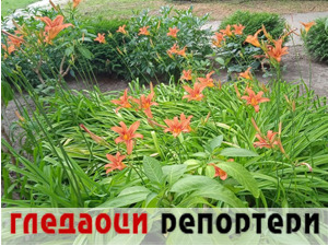 Гледаоци репортери (17. јун 2022)