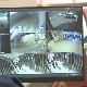 Претње бомбама и хаковање институција, колико сајбер криминал утиче на свакодневни живот грађана