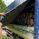 Појачана контрола шумских подручја, за дан откривено пет камиона са нелегално исеченим стаблима