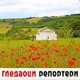 Гледаоци репортери (19. јун 2022)