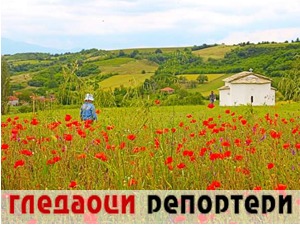 Гледаоци репортери (19. јун 2022)
