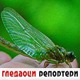 Гледаоци репортери (20. јун 2022)