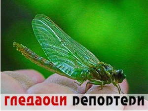 Гледаоци репортери (20. јун 2022)