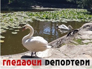 Гледаоци репортери (23. јун 2022)