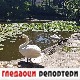 Гледаоци репортери (23. јун 2022)