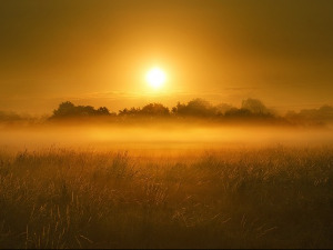  1001 Траг - Зорице, Зоро моја - Ансамбл Шајка 