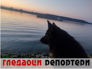 Гледаоци репортери (25. јун 2022)