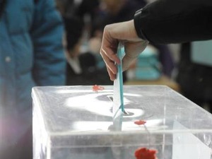 РИК: Поновно гласање у Великом Трновцу 30. јуна