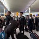 Група српских лекара кренула авионом из Франкфурта за Србију