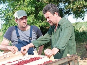 Мој рођак са села