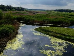Планетаријум - Номадска Србија