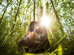  Свирај свирче - гитара 