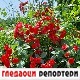 Гледаоци репортери (2. јул 2022)