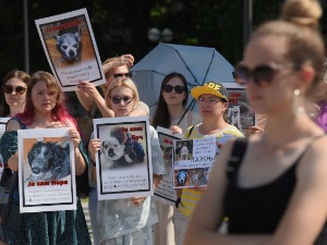 Протест удружења за права животиња испред Управе за ветерину у Београду