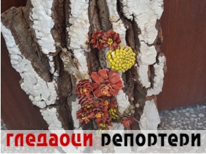 Гледаоци репортери (4. јул 2022)