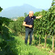 Нови виногради у Топлици