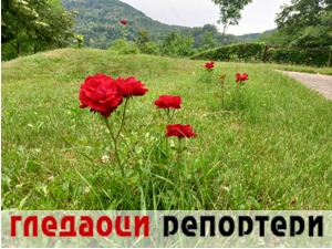 Гледаоци репортери (6. јул 2022)