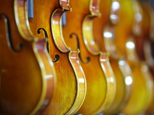 	Свирај свирче - виолина