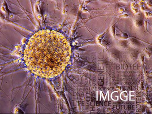 Пројекат Стримлајн – моделовање неуроразвојних болести применом матичних ћелија