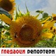 Гледаоци репортери (10. јул 2022)
