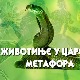 Животиње у царству метафора – Змија