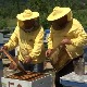 Пчелари у бујановачком крају се све више удружују како би лакше добили помоћ, савете и пласирали мед 