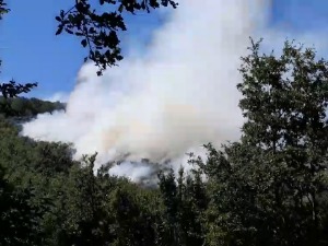 Шири се пожар у Херцег Новом, ватрогасци на положају, чека се долазак хеликоптера