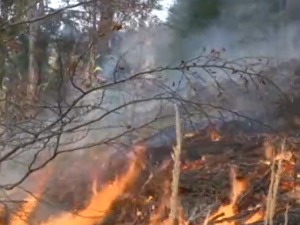 Гори ниско растиње на Дивчибарама, ватрогасци дежурају и током ноћи