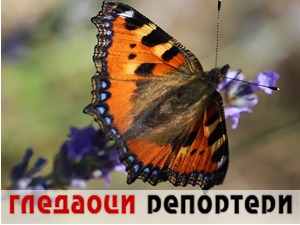Гледаоци репортери (20. јул 2022)