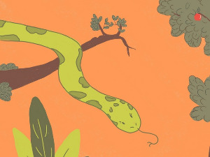  Добро јутро децо: Змиле и Тодор 