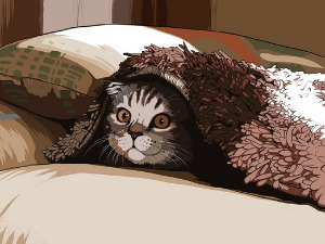  Добро јутро децо: Мачак Марко и кућица 