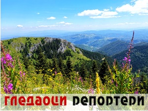 Гледаоци репортери (21. јул 2022)