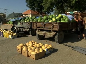 Приколице пуне лубеница, али бостанџије незадовољне