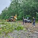 Снажно невреме у Карловцу, ветар чупао дрвеће и црепове