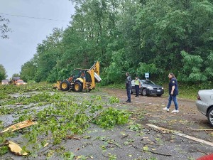 Снажно невреме у Карловцу, ветар чупао дрвеће и црепове