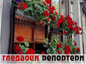 Гледаоци репортери (31. јул 2022)