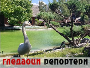 Гледаоци репортери (2. август 2022)