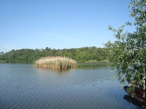 Планетаријум - Номадска Србија