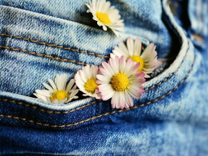  Добро јутро децо: Џепови 